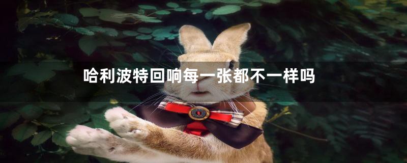 哈利波特回响每一张都不一样吗