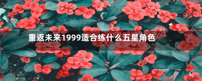 重返未来1999适合练什么五星角色