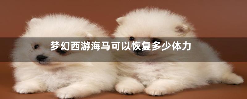 梦幻西游海马可以恢复多少体力