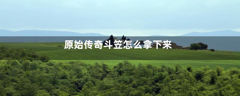原始传奇斗笠怎么拿下来
