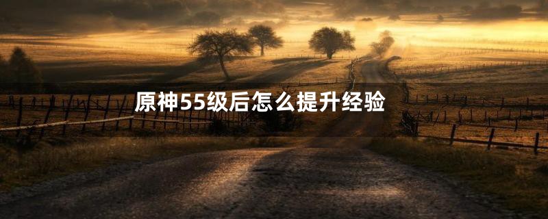 原神55级后怎么提升经验