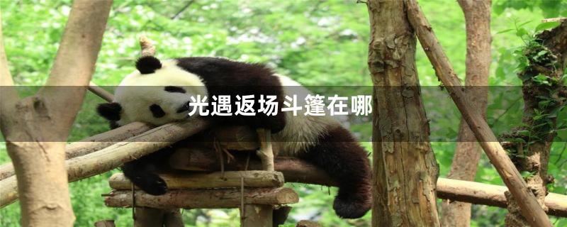 光遇返场斗篷在哪