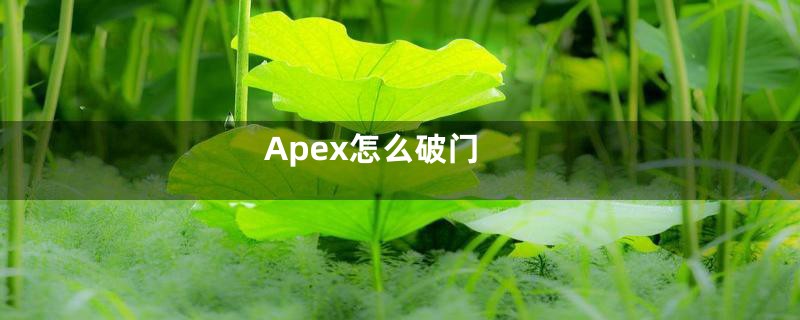 Apex怎么破门