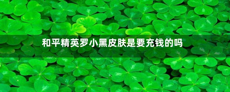 和平精英罗小黑皮肤是要充钱的吗