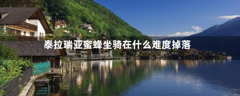 泰拉瑞亚蜜蜂坐骑在什么难度掉落