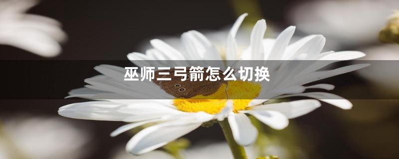 巫师三弓箭怎么切换