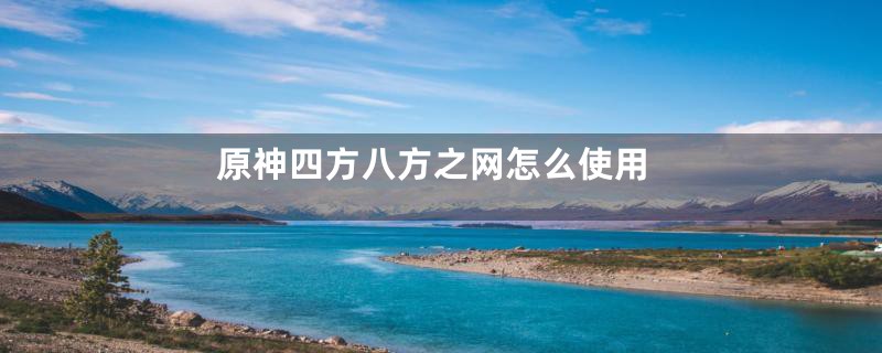 原神四方八方之网怎么使用