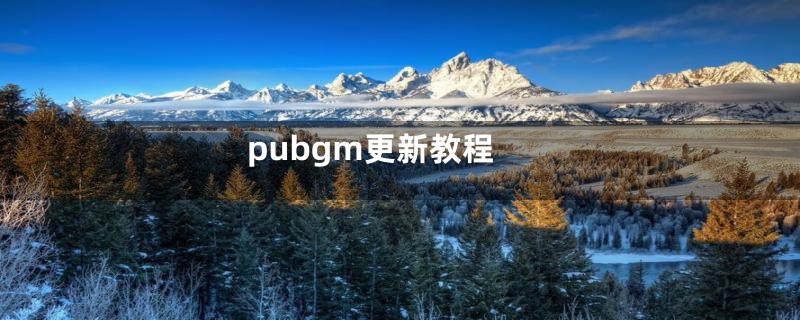 pubgm更新教程