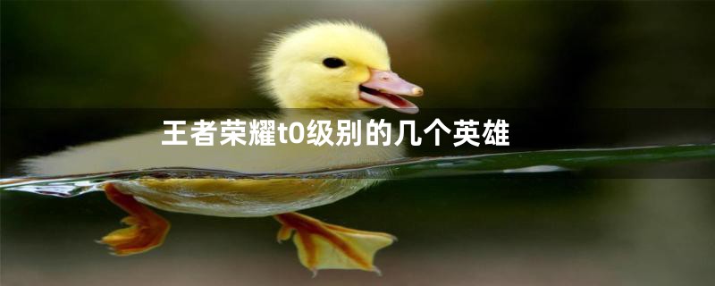 王者荣耀t0级别的几个英雄