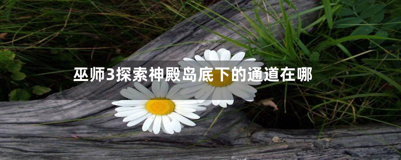 巫师3探索神殿岛底下的通道在哪