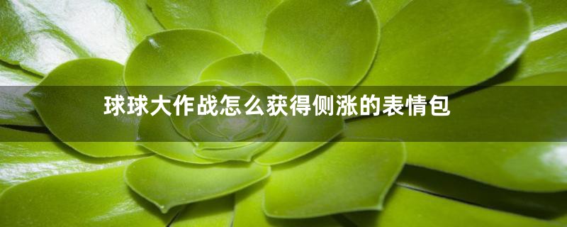 球球大作战怎么获得侧涨的表情包