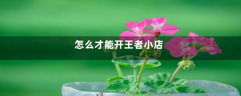 怎么才能开王者小店
