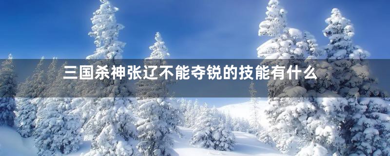 三国杀神张辽不能夺锐的技能有什么