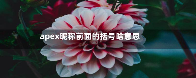 apex昵称前面的括号啥意思