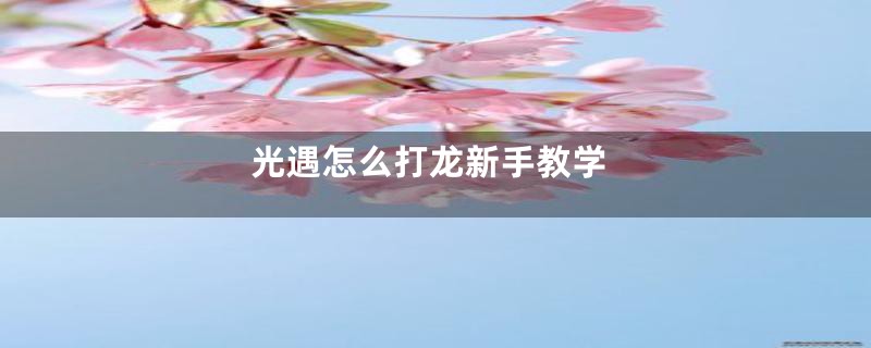 光遇怎么打龙新手教学