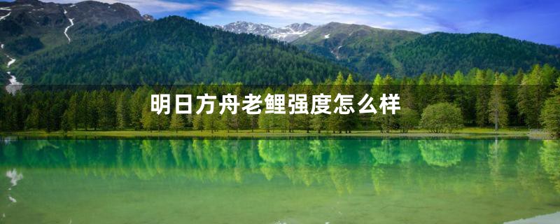明日方舟老鲤强度怎么样