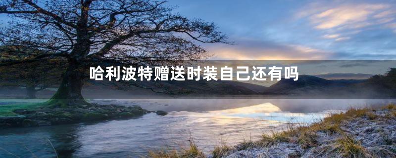 哈利波特赠送时装自己还有吗