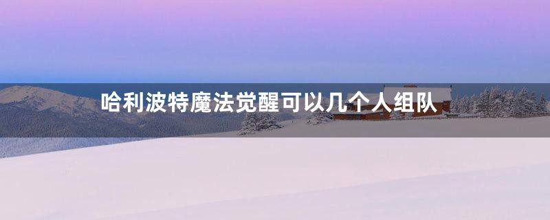 哈利波特魔法觉醒可以几个人组队