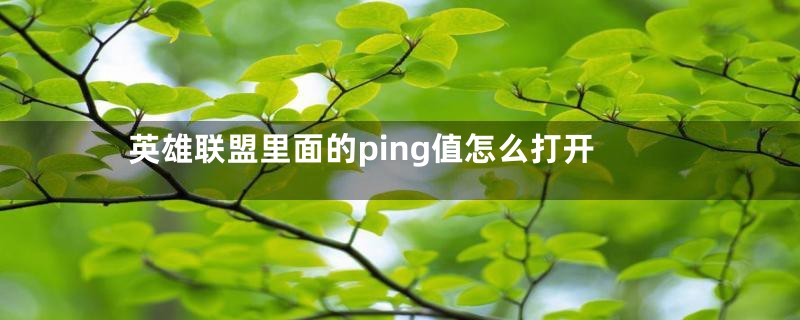 英雄联盟里面的ping值怎么打开