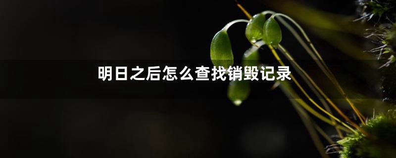 明日之后怎么查找销毁记录