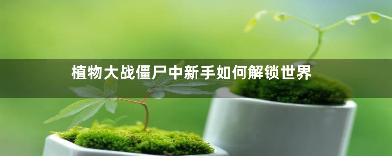 植物大战僵尸中新手如何解锁世界