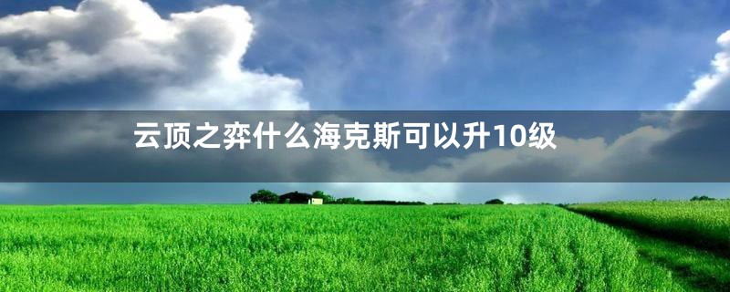 云顶之弈什么海克斯可以升10级