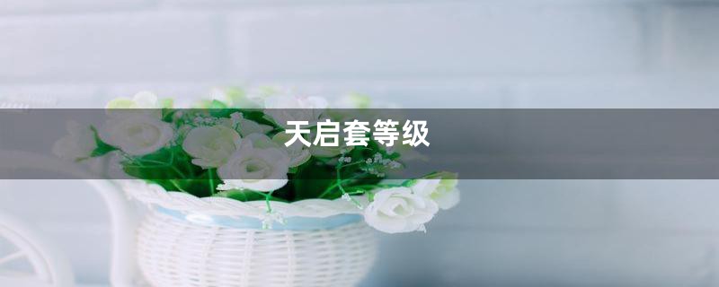 天启套等级