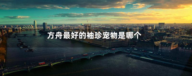 方舟最好的袖珍宠物是哪个