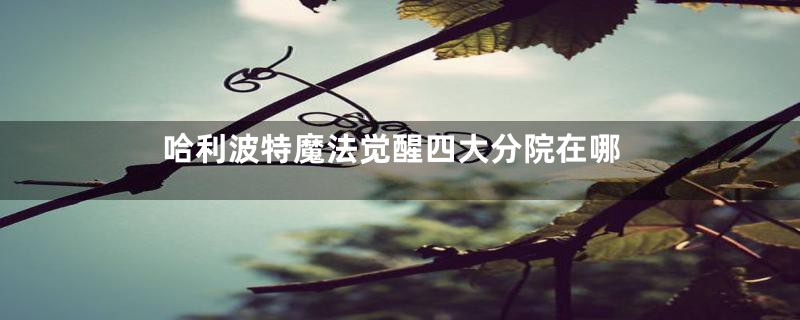 哈利波特魔法觉醒四大分院在哪