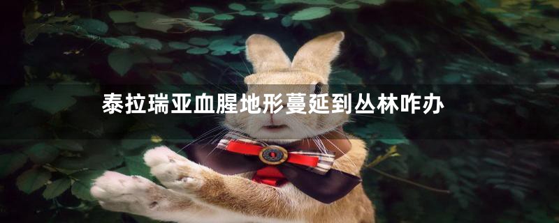 泰拉瑞亚血腥地形蔓延到丛林咋办