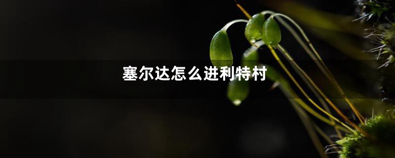 塞尔达怎么进利特村