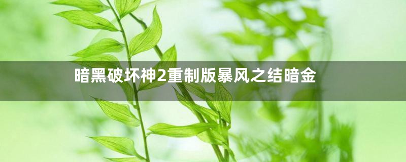 暗黑破坏神2重制版暴风之结暗金