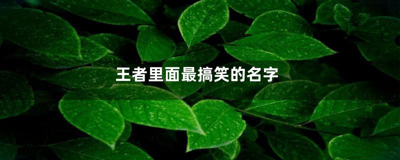 王者里面最搞笑的名字