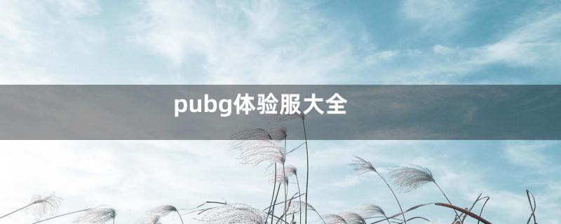 pubg体验服大全