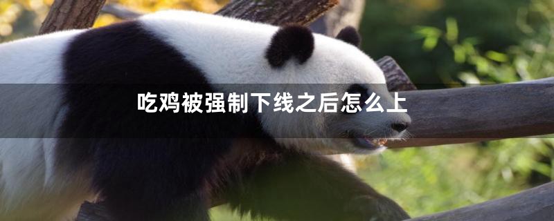 吃鸡被强制下线之后怎么上