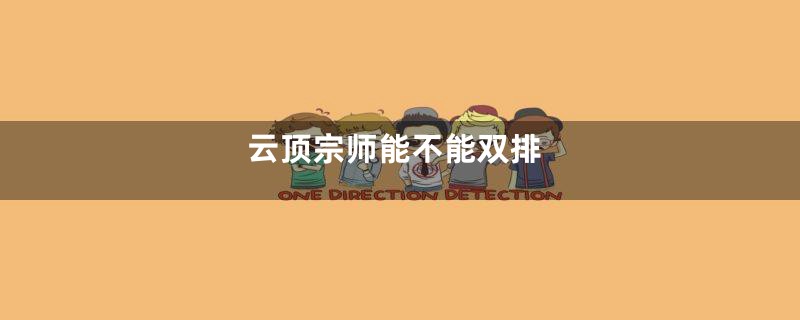 云顶宗师能不能双排