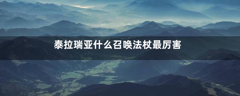 泰拉瑞亚什么召唤法杖最厉害