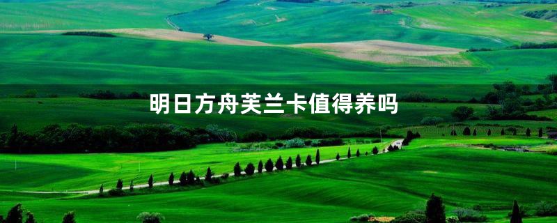 明日方舟芙兰卡值得养吗