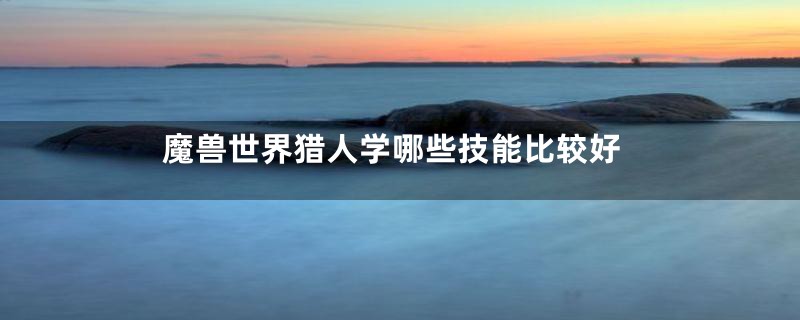 魔兽世界猎人学哪些技能比较好