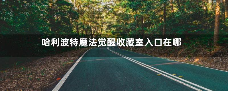 哈利波特魔法觉醒收藏室入口在哪