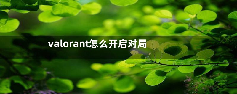valorant怎么开启对局