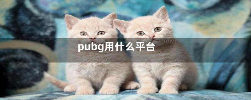 pubg用什么平台
