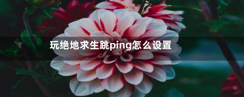 玩绝地求生跳ping怎么设置