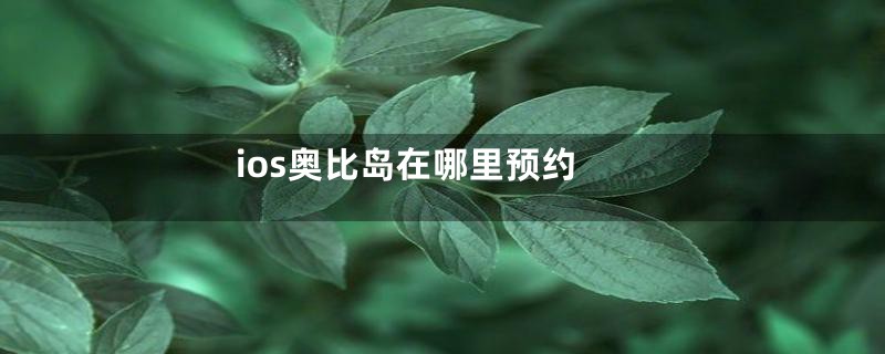ios奥比岛在哪里预约
