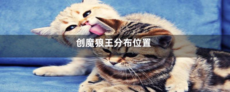 创魔狼王分布位置