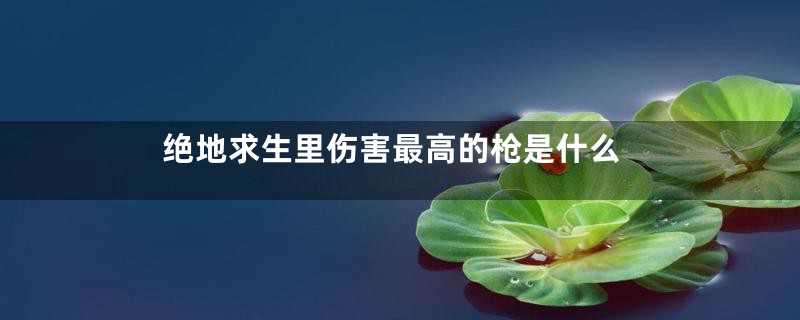 绝地求生里伤害最高的枪是什么