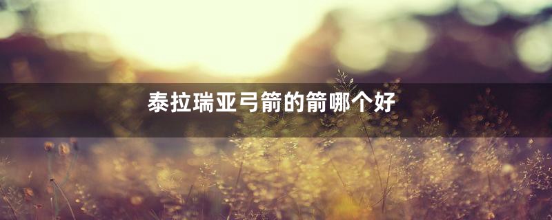 泰拉瑞亚弓箭的箭哪个好