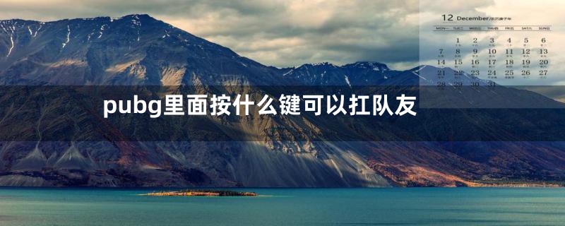 pubg里面按什么键可以扛队友