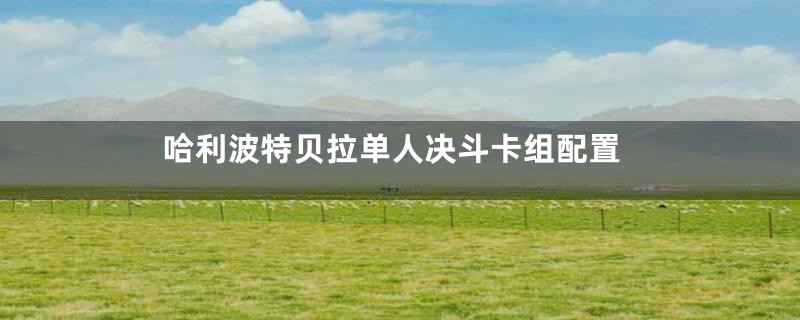 哈利波特贝拉单人决斗卡组配置