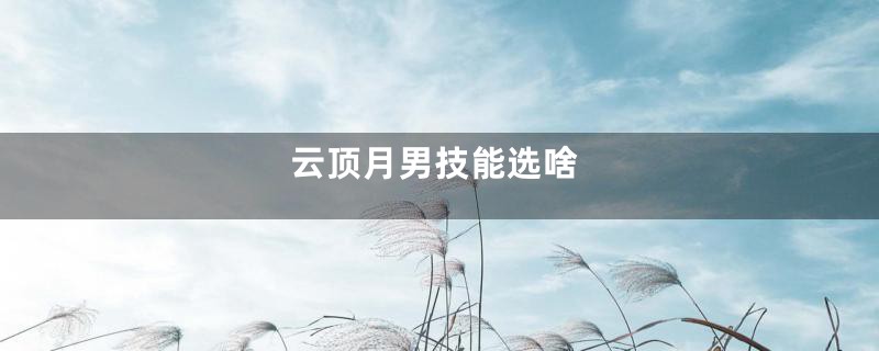 云顶月男技能选啥